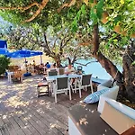 Mavi Akvaryum Maison d'hôtes Sogut (Aegean)