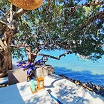 Mavi Akvaryum Sogut (Aegean)