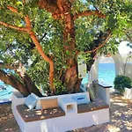 Mavi Akvaryum Maison d'hôtes