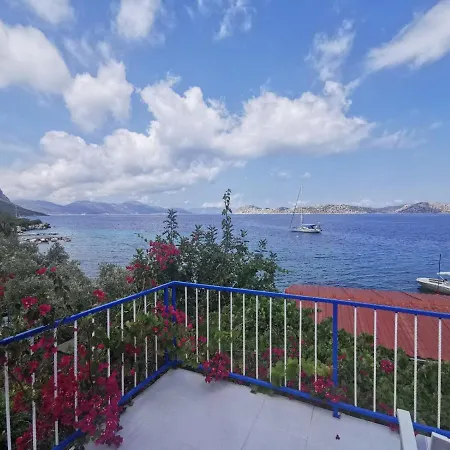 Mavi Akvaryum Pension Konukevi Söğüt