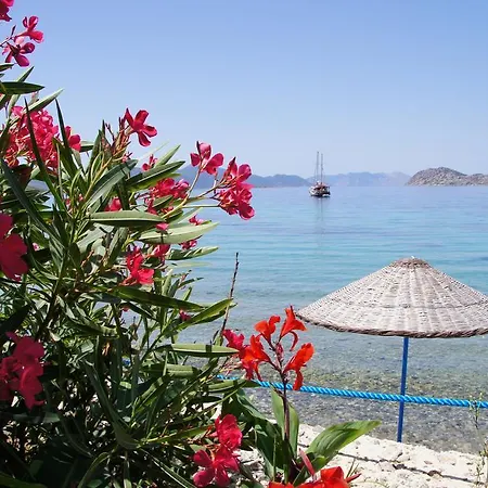 Mavi Akvaryum Pension Otel Söğüt