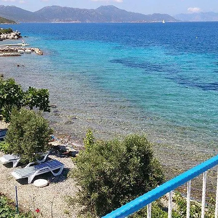 Mavi Akvaryum Pension Söğüt