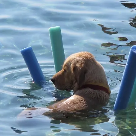 Otel Mavi Akvaryum Pension 3*