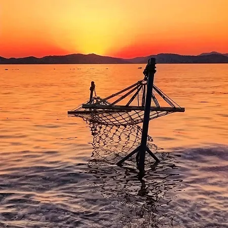 Mavi Akvaryum