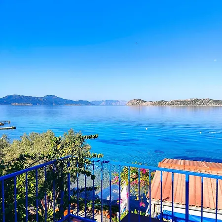 Mavi Akvaryum