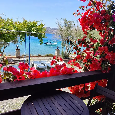 Pensión Mavi Akvaryum Sogut (Aegean)
