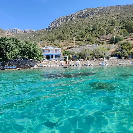 Mavi Akvaryum