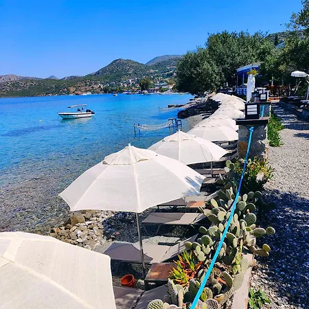 Mavi Akvaryum Pensión 3*