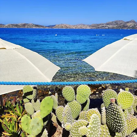 Gasthof Mavi Akvaryum Sogut (Aegean)