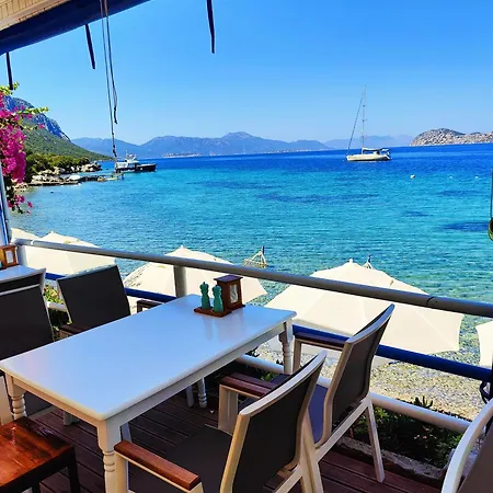 Mavi Akvaryum 3*