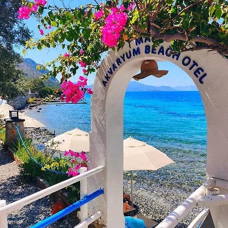 Mavi Akvaryum