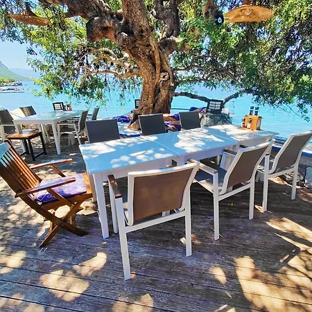 Gasthof Mavi Akvaryum