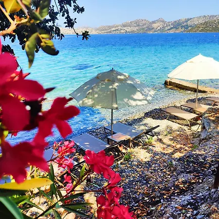 Gasthof Mavi Akvaryum 3*
