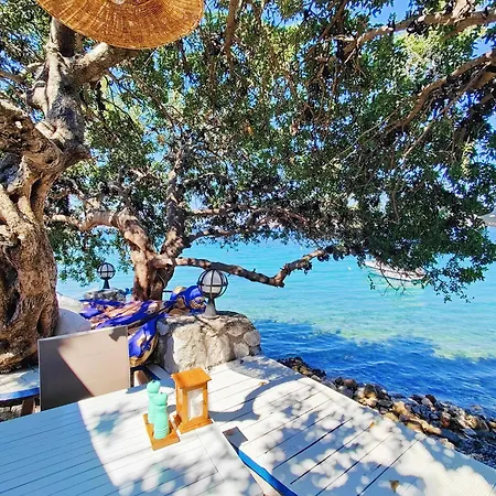 Mavi Akvaryum Sogut (Aegean)