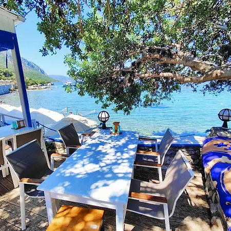 Mavi Akvaryum Gasthof Sogut (Aegean)