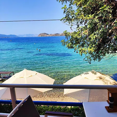 Gasthof Mavi Akvaryum Sogut (Aegean)
