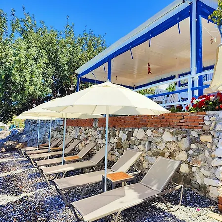 Mavi Akvaryum Sogut (Aegean)