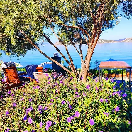 Mavi Akvaryum 3* Sogut (Aegean)