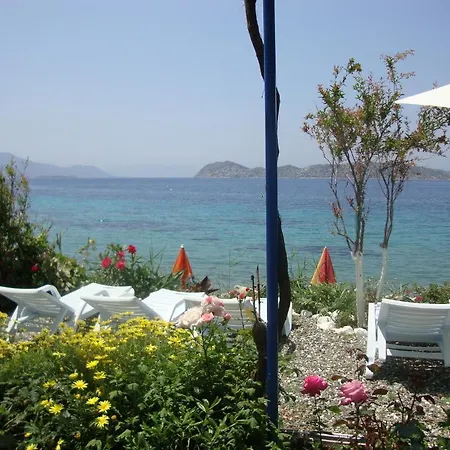 Mavi Akvaryum Pension Konukevi
