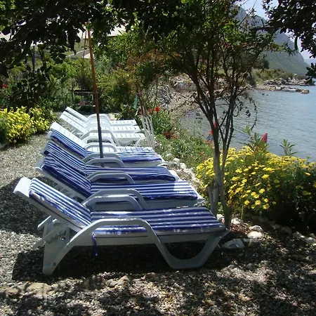 Mavi Akvaryum Pension 3*