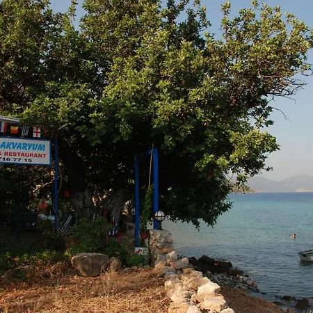 Otel Mavi Akvaryum Pension Söğüt