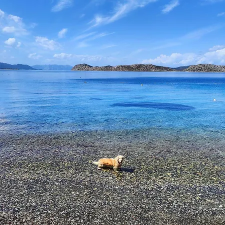 Mavi Akvaryum Pensiune Sogut (Aegean)