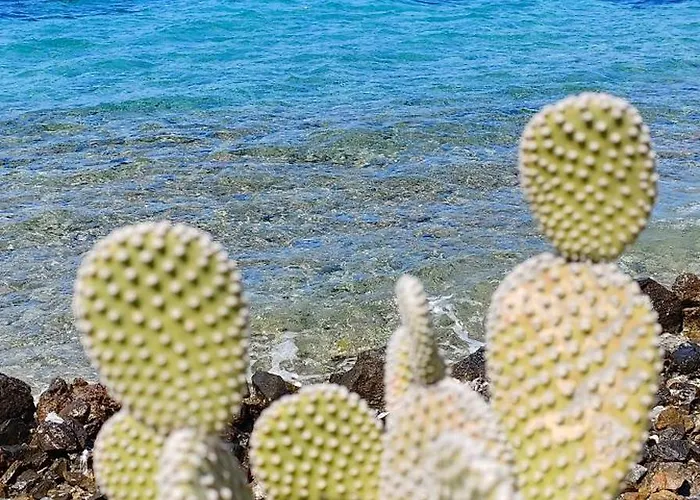 Mavi Akvaryum Pension